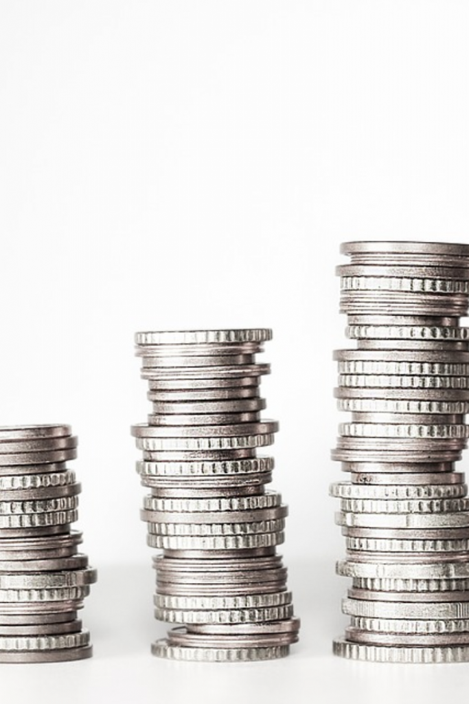 Baixo Investimento, Atualizado Sempre - FitoApp